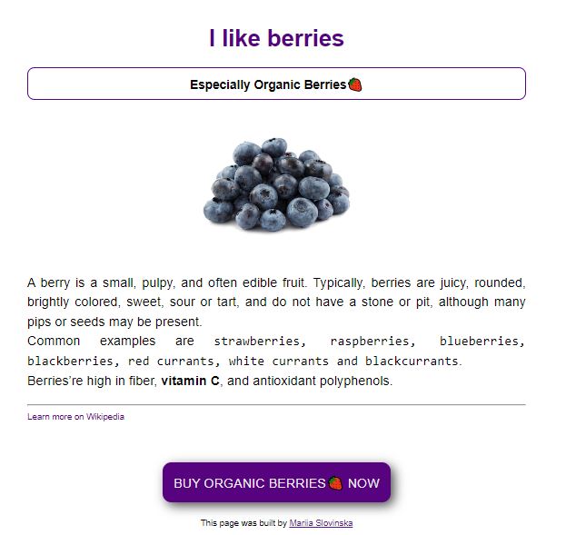 Berries project preview